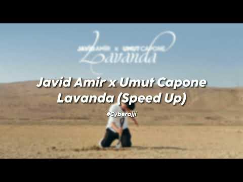 Javid Amir x Umut Capone - Lavanda (Speed Up) #JavidAmir #lavanda #mikpro
