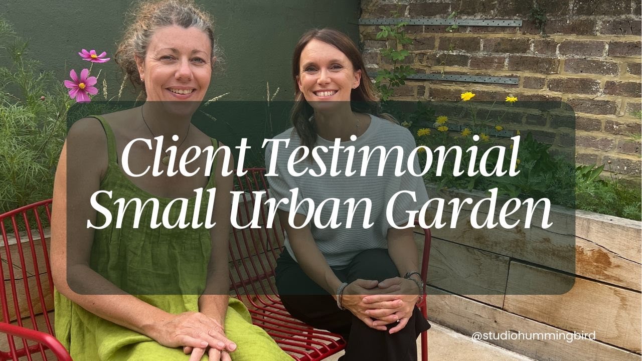 Studio Hummingbird | Home Studio Hummingbird | Home