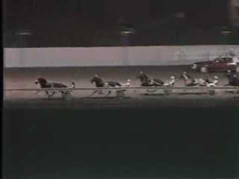 Breeders Crown 1984 2YRCP -- USTA Harness Racing