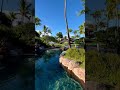 Hilton Resort Spa Mauritius Shorts Mauritius Travel Hotel