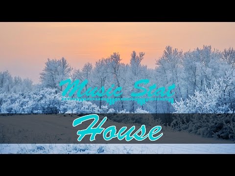 Slinz & Bjeno - The Same Kind (feat Benjamin Edman) ►Music Stat◄