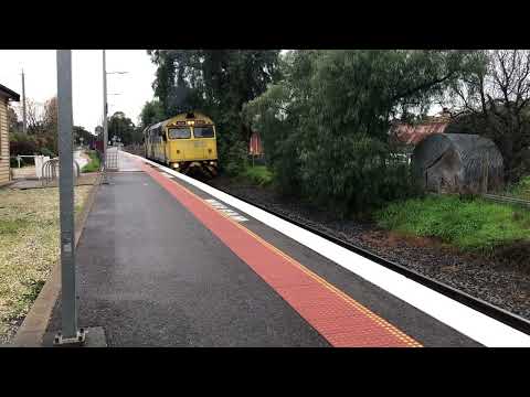 QUBE Light Engine Movement  With 8030