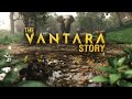 The Vantara Story World S Largest Rescue Operations For Wildlife Anant Ambani S Dream Project