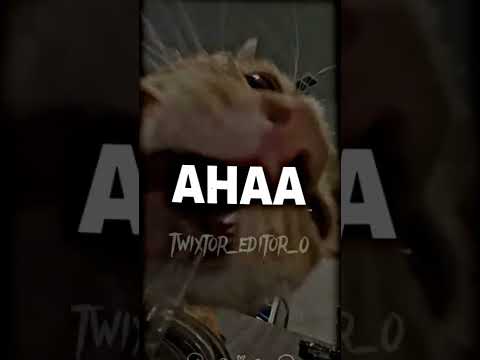 you know i'm the face of City b*tch😂😂m'y édit on capcut After aligh motion #fypシ