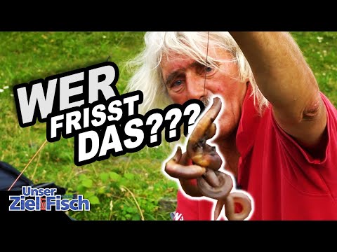 HOFFNUNG auf GROßE FISCHE - SO SPANNEND ist GRUNDANGELN - JÖRG OVENS - Unser Ziel ist Fisch