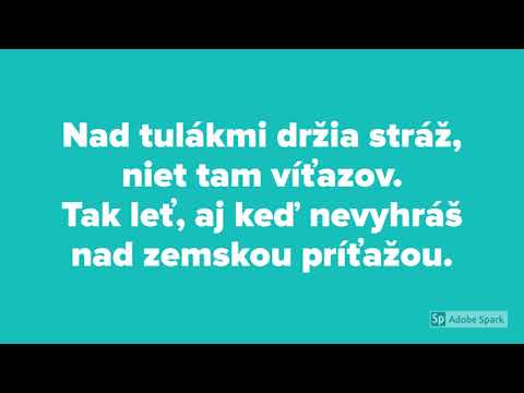 Miro Žbirka - Balada o poľných vtákoch (lyrics / text)