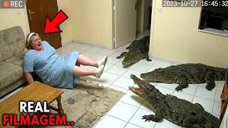 Animais selvagens que invadiram casas e devoraram pessoas vivas