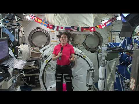 Expedition 60 In Flight Bustle Digital Group - August 14, 2019