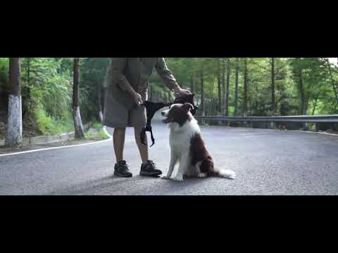 Шлея для собак Harness K9 Long, металлическая пряжка фастекс и система MOLLE, Коричневый М - фото 1 - id-p1738893518