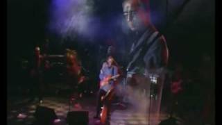 SHADOWS &#39;Wonderful Land&#39; by SHADOWLANDS