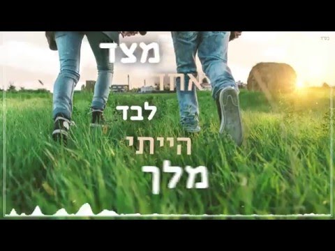 שדות של תירוצים