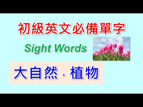 基礎英文單字-8-大自然，植物單字及基本句型。Sight Words是基礎英文出現率最高的單字，是學好英文，提升閱讀能力的最重要單字。