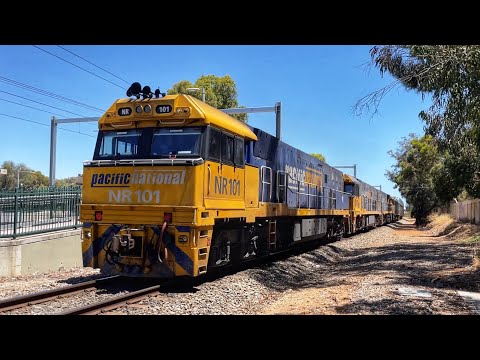 Pacific National Freight - 2MP5 - NR101, NR34, NR37