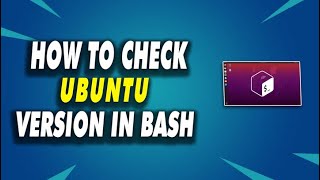 How to check Ubuntu version in bash