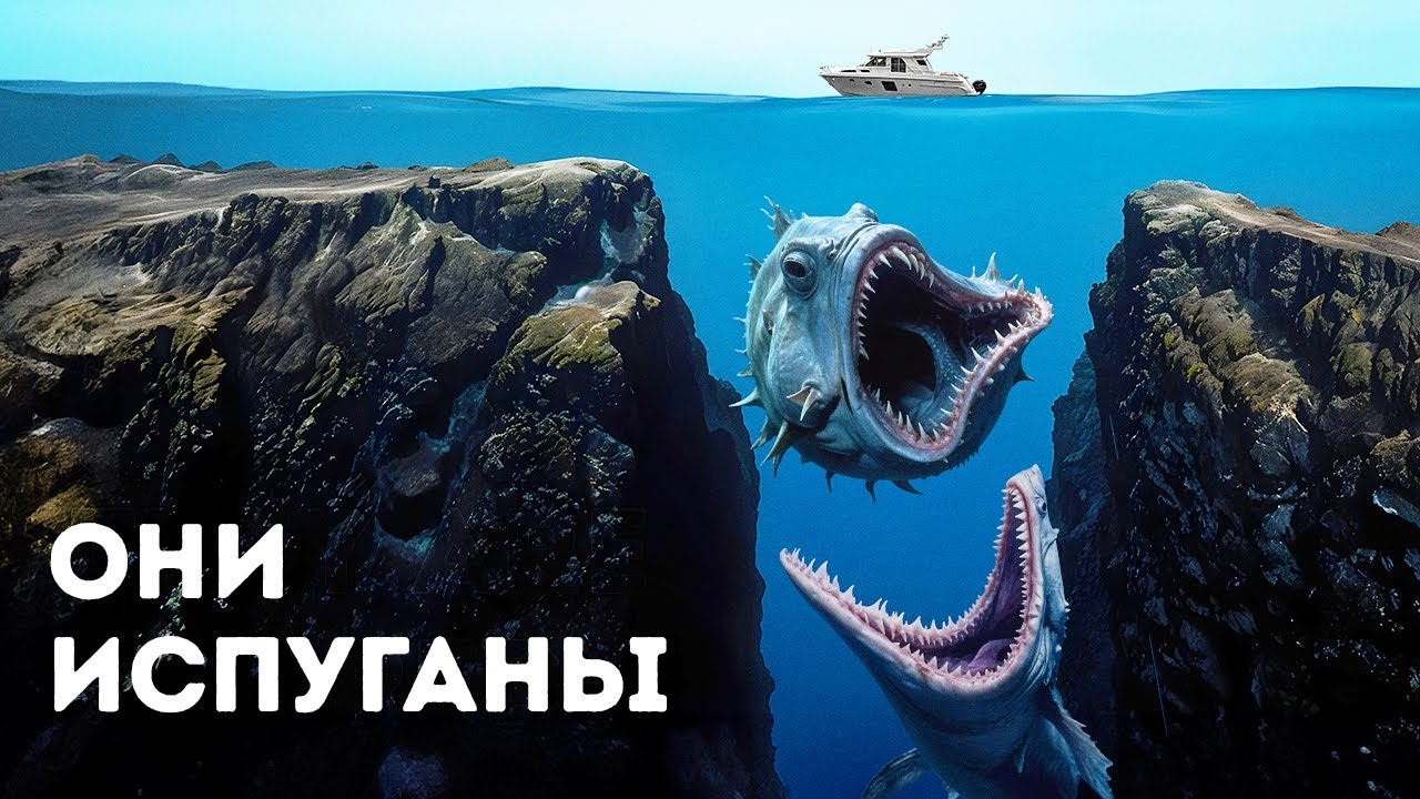 Почему учёные больше не хотят исследовать Марианскую впадину