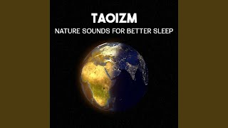 Yin & Yang (Forces of the Universe)