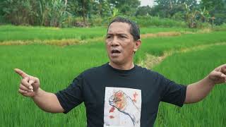 Download lagu Darah Juang - John Tobing & Sumpah Mahasiswa - Afnan Malay (Original) mp3