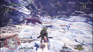 オドガロン  VS  ツィツィヤック(縄張り争い)