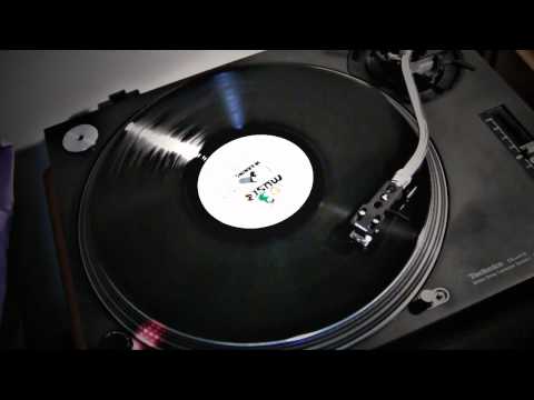 Desi Roots  - Warning - 12"