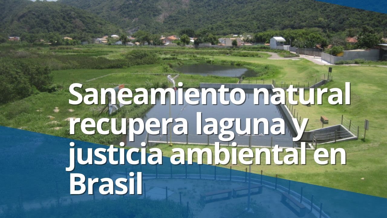 Saneamiento natural recupera laguna y justicia ambiental en Brasil
