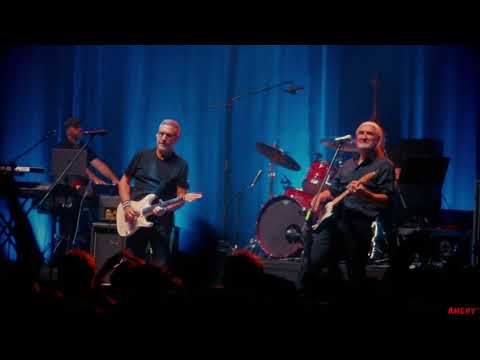 DIRE STRAITS Legacy - Tunnel of Love (2022) Guitar World Record Hey Joe Wroclove Guinness Record