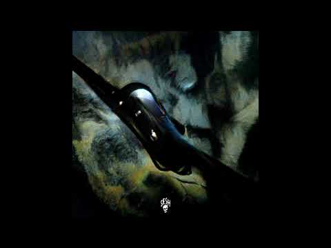 cat soup, drew the architect & grayera - packyourbags w/ bones