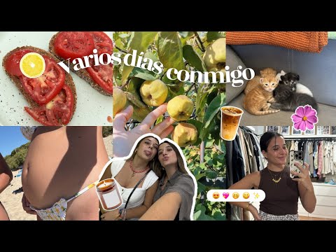 VLOG✨ Si todo sigue igual…  ¡la familia crece! ❤️✨