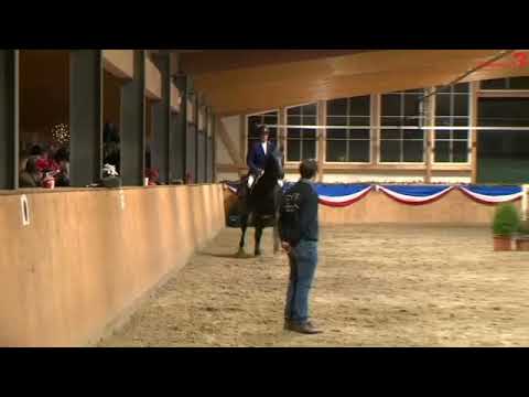 Colcannon - Station Maas J Hell  - Philipp Schulze  2021