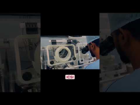 Steps for successful IVF