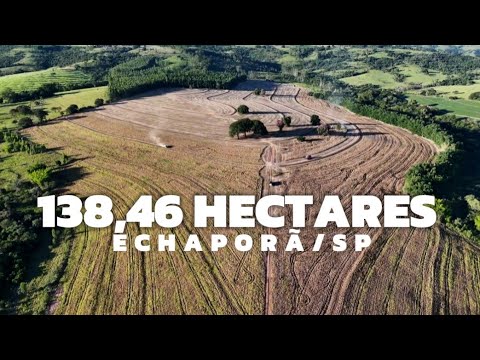FAZENDA DE 138,46 HECTARES NO ESTADO DE SÃO PAULO! TRIPLA APTIDÃO: LAVOURA, PECUÁRIA E EUCALIPTO 