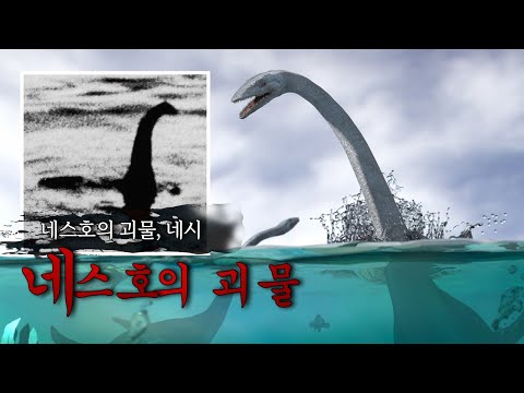 100년간 미스테리 네스호의 괴물 네시는 과연 존재할까???