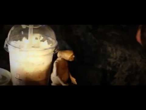 Degenhardt • ROSA [Destroy 2] [VIDEO]