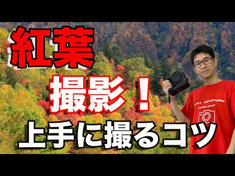 紅葉を上手に使おう トピックス