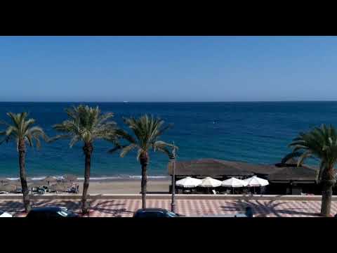 Jax Jones🎧System Inc👅Stefflon Don🐥The Don🙈🐾