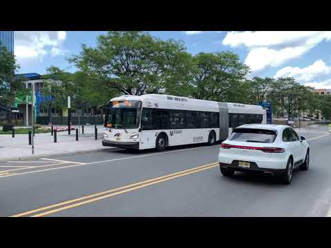 159r Bus Route