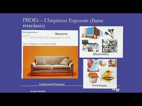 Toxins in Your Everyday Environment