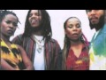 Ziggy Marley & the Melody Makers - Head Top (Boom Boom Mix) 2014