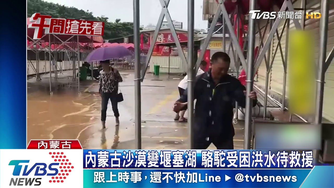 內蒙古沙漠變堰塞湖 駱駝受困洪水待救援