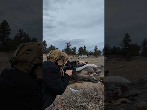 Sig Sauer M400 Tread | Budget AR Range Review