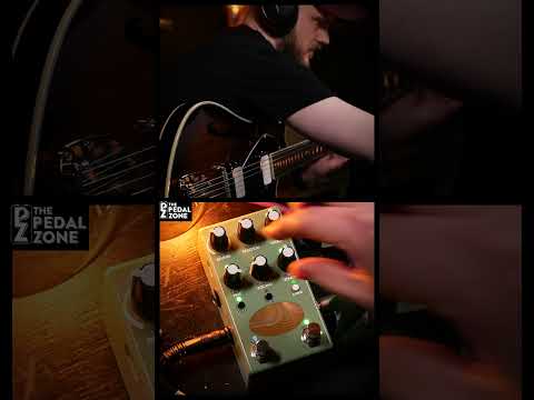 Kinotone Ghosts Chordal Resonator 2025 - Present - Various image 2