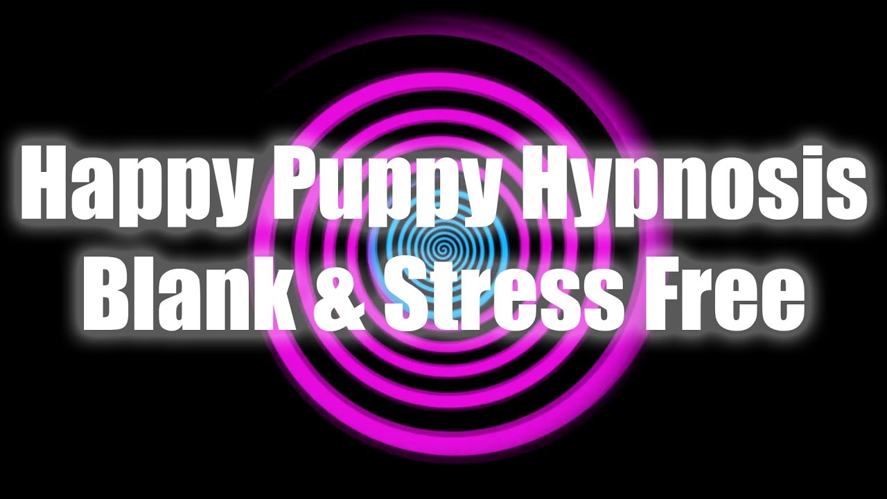 Happy Puppy Hypnosis Blank & Stress Free