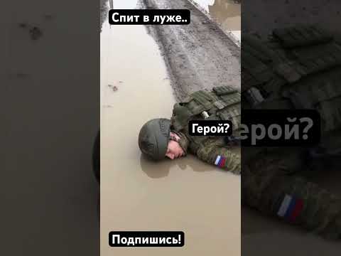 Вернулся и спит в луже. #новости #новини #переговоры #ai