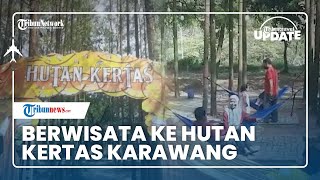 Hutan Kertas, Tempat Wisata Alam di Karawang yang Memiliki Pohon Ekaliptus dan Spot Instagramable