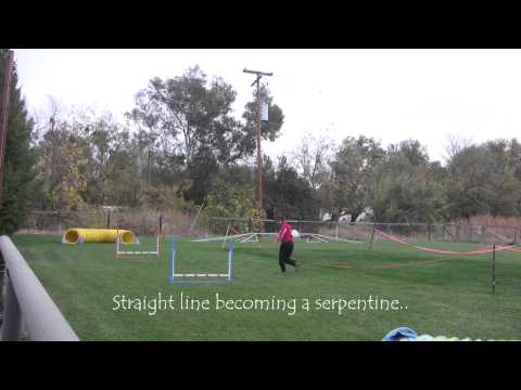 Shasta Foundation Summary January 2014