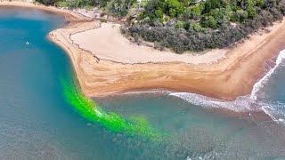 Green dye demonstrates hidden danger of Wild Cattle Creek