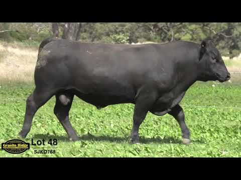 GRANITE RIDGE QUADE Q168