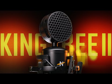 Neat King Bee II Condenser Mic Review (ft. King Bee, Worker Bee I & II,  NT1a, Lewitt 440, AT2035)