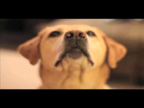 Anna Grace is coming down the stairs and slapped Porsche on the butt