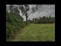 Tour Virtual