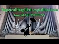 Supercalifragilisticexpialidocious Organ Cover From Mary Poppins